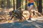 Preview: Ruffwear Summit Trex Shoe Sunrise Yellow Gr. 57 mm / XS